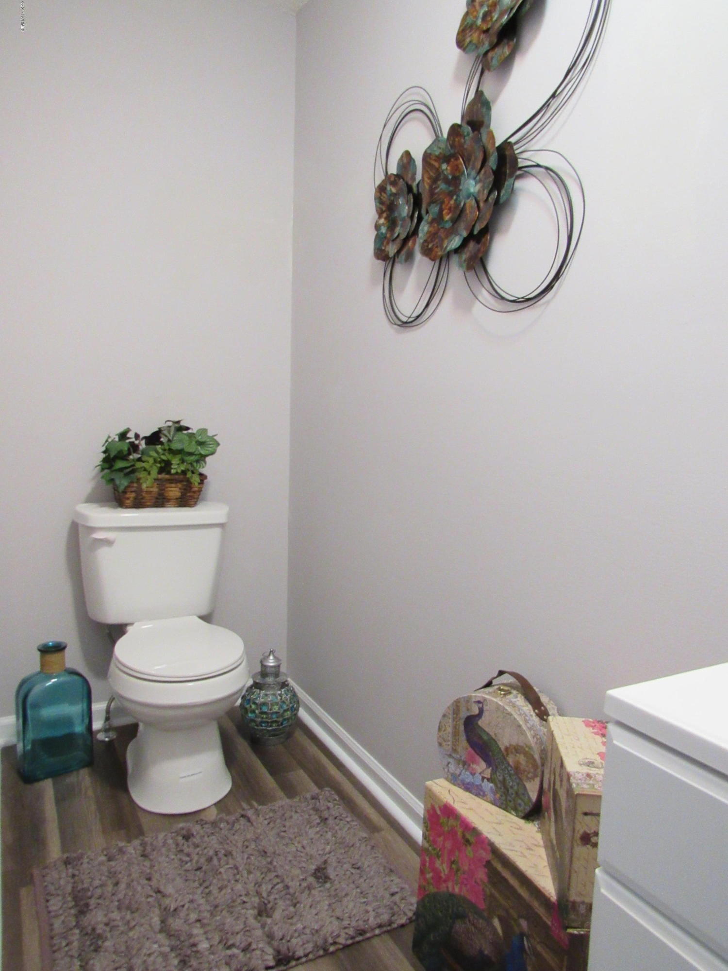 107 Deerfield Road Jacksonville, NC 28540 - Photo 54 of 75 IMG_4419