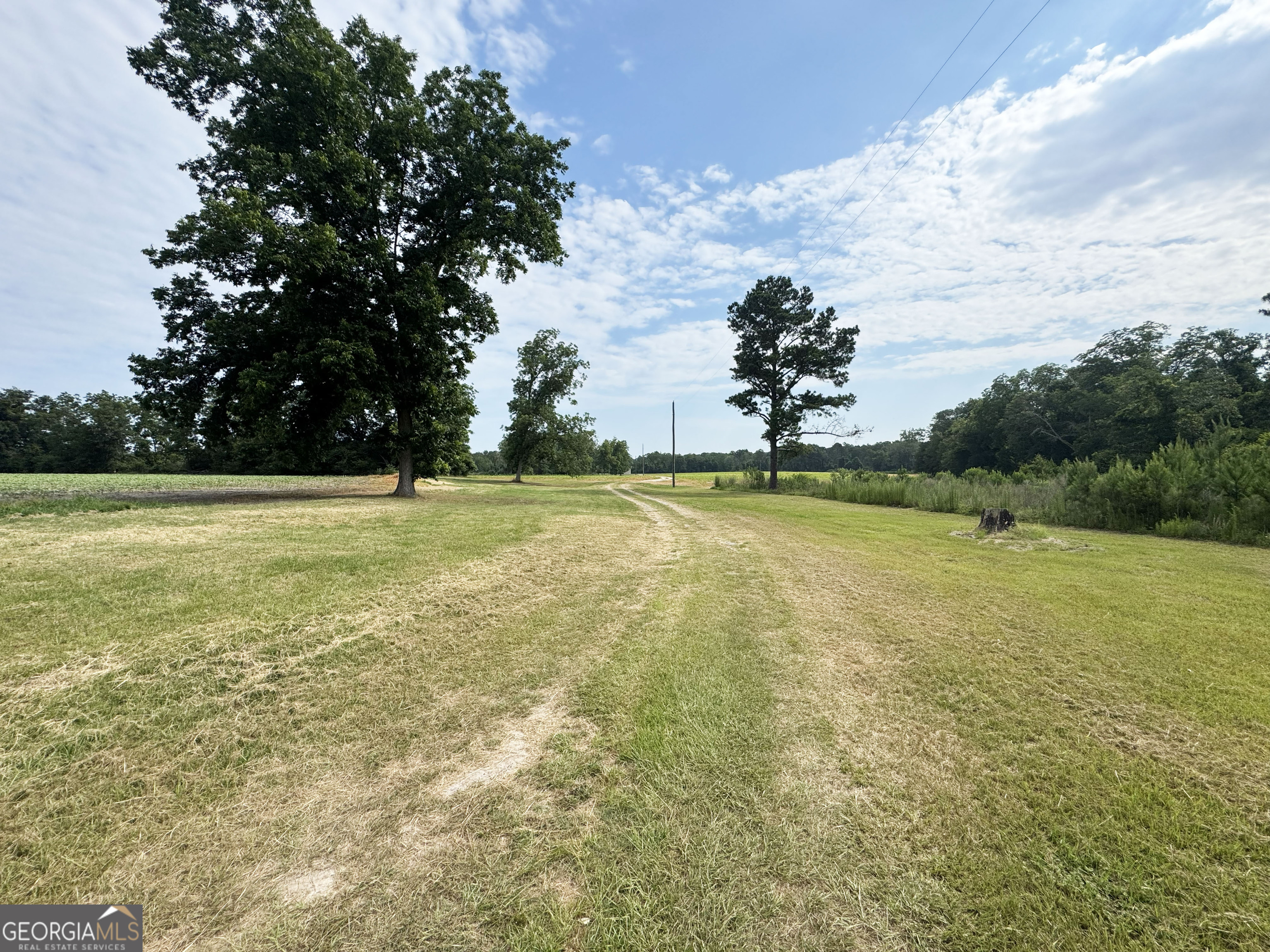 245 Brookfield Nashville Road Enigma, GA 31749 - Photo 25 of 38