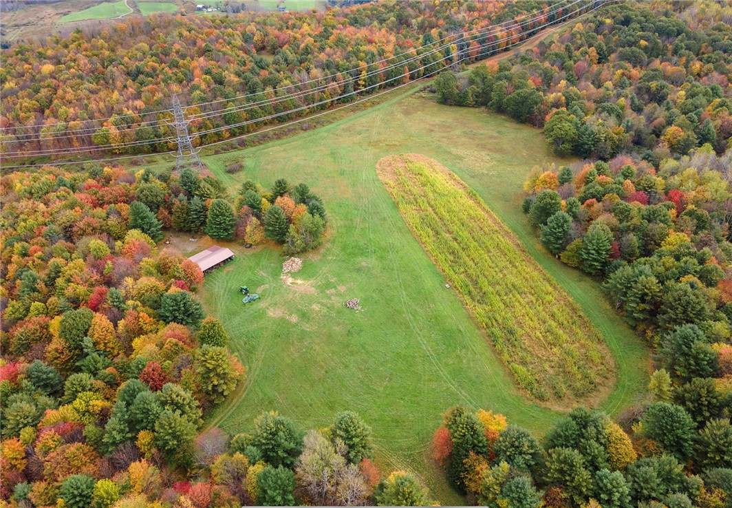 734 Post Road Franklin, NY 13775 - Photo 43 of 50