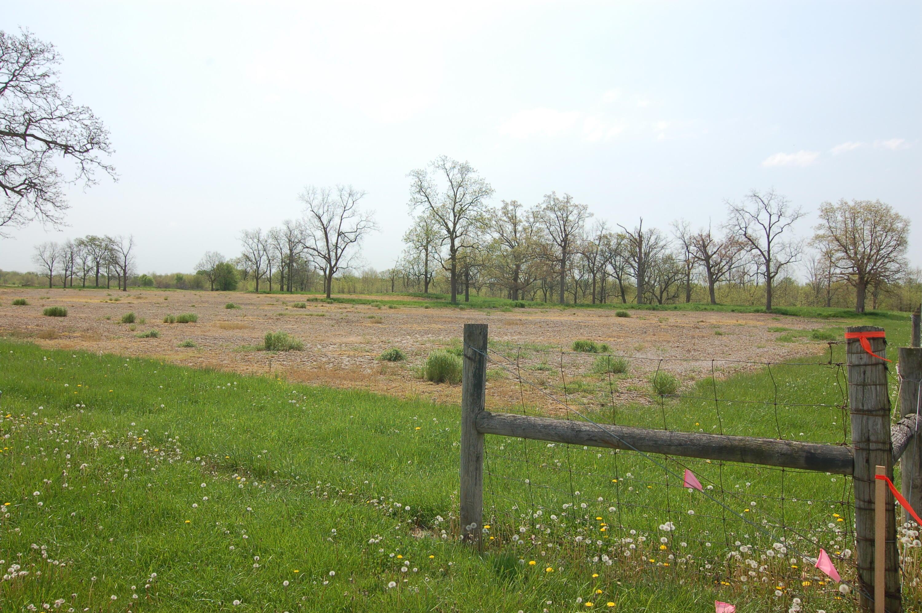 0 Rosedale-plain Rosedale-Plain City Road, Unit TRACT 1 Irwin, OH 43029 - Photo 21 of 28 Tract 1 NW Corner
