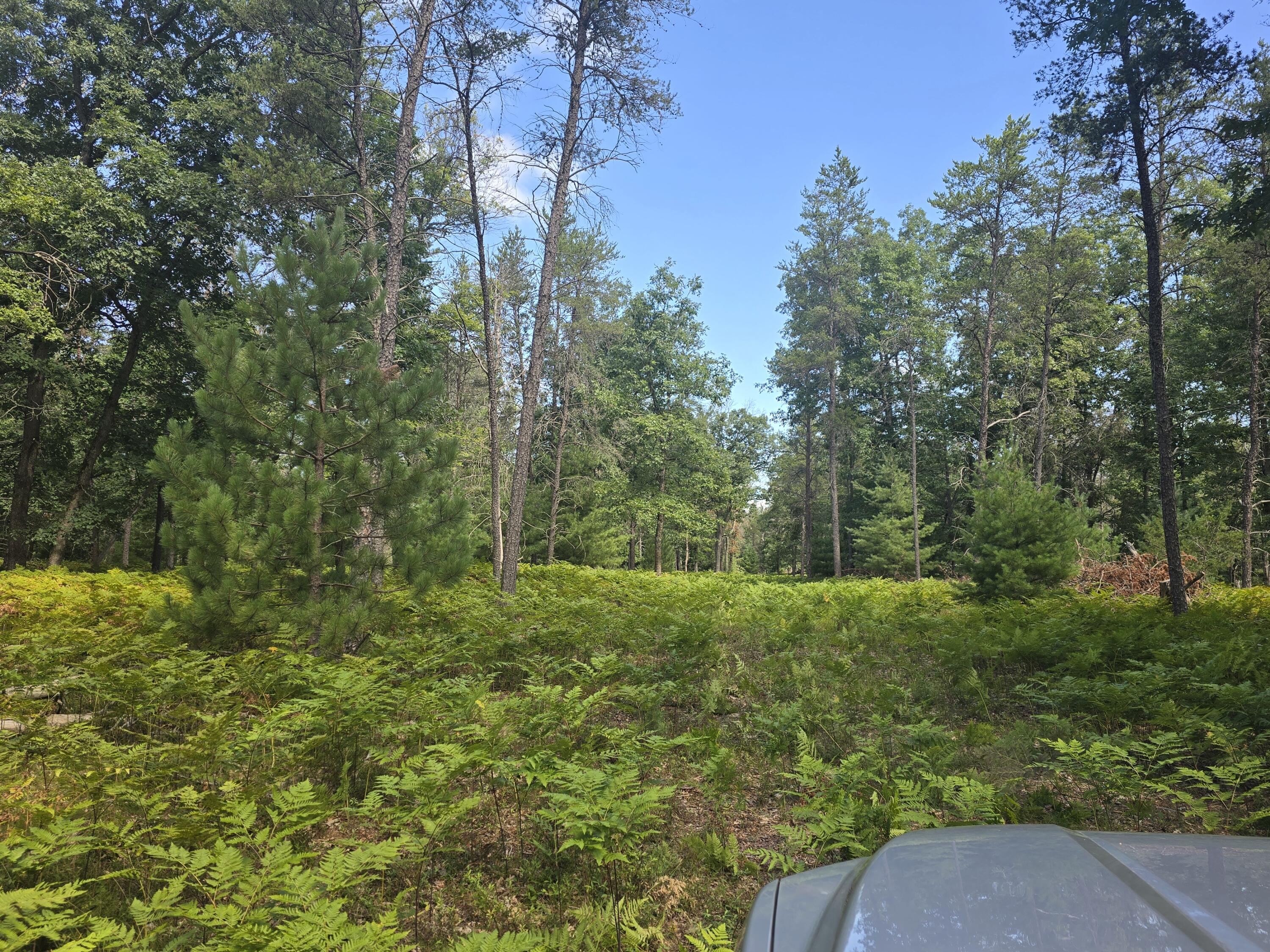 0 West 4 Mile Road Irons, MI 49644 - Photo 3 of 8 1000029753