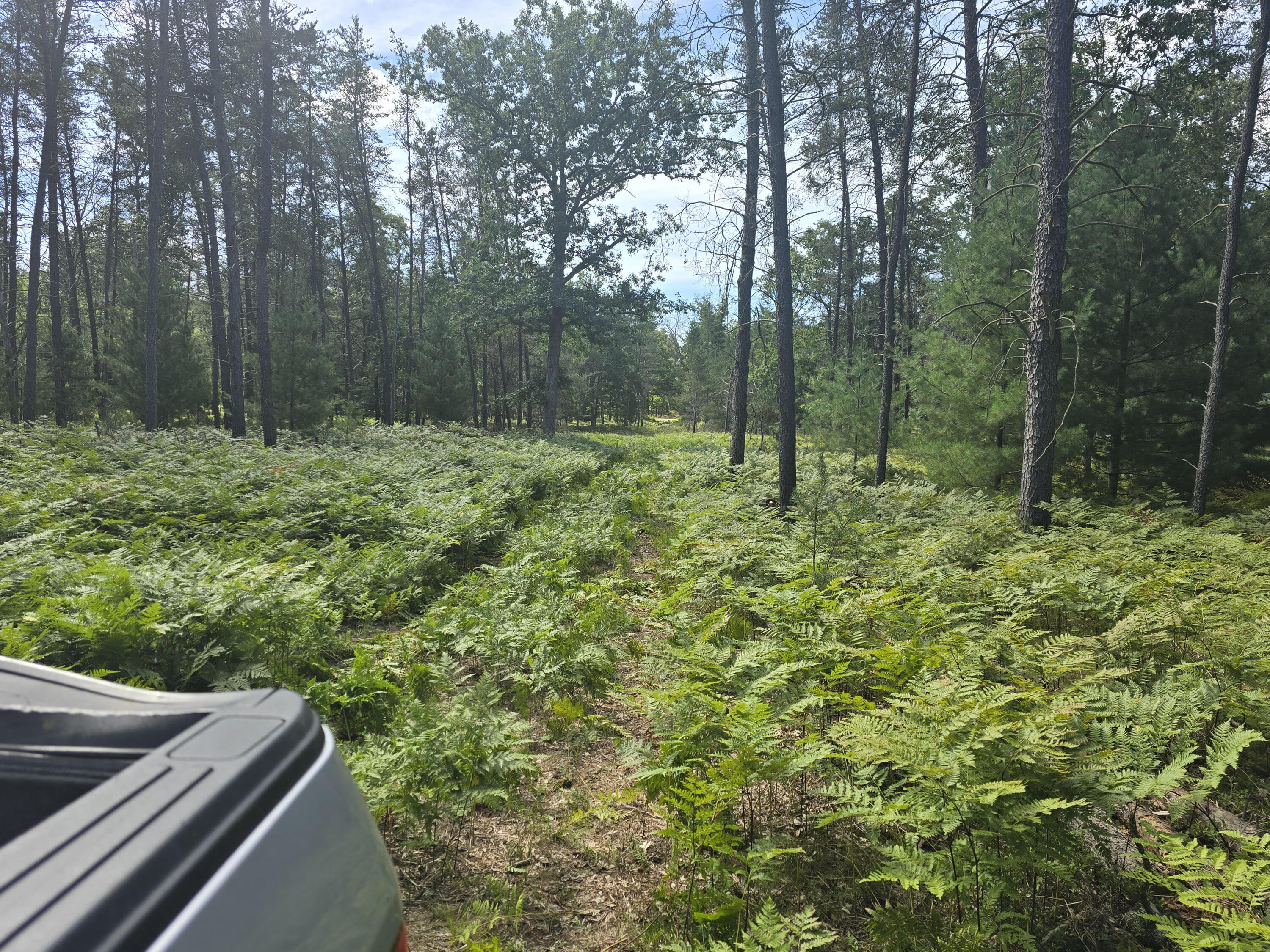 0 West 4 Mile Road Irons, MI 49644 - Photo 4 of 8 m3