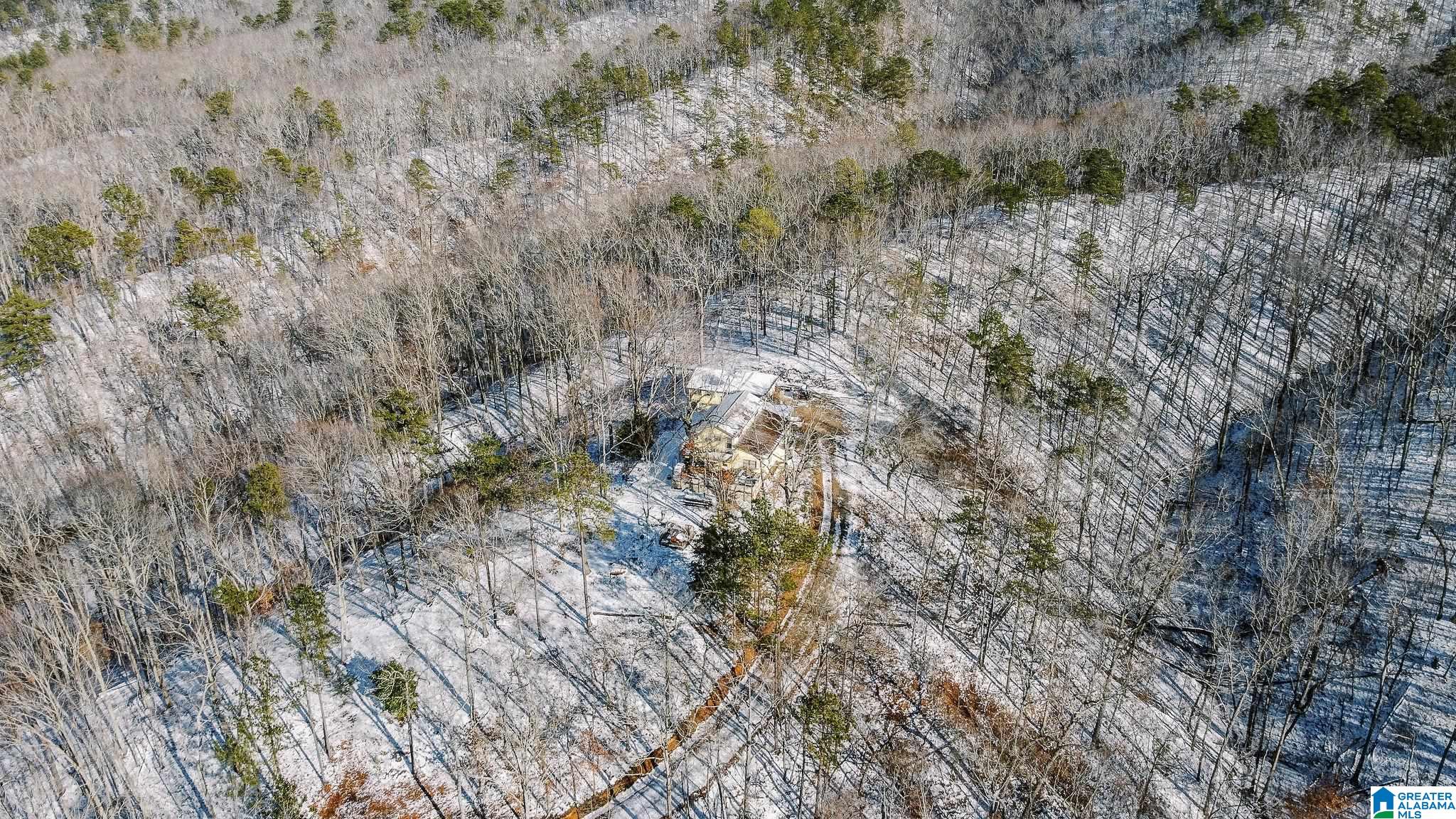 5325 Union T Road Talladega, AL 35160 - Photo 72 of 83