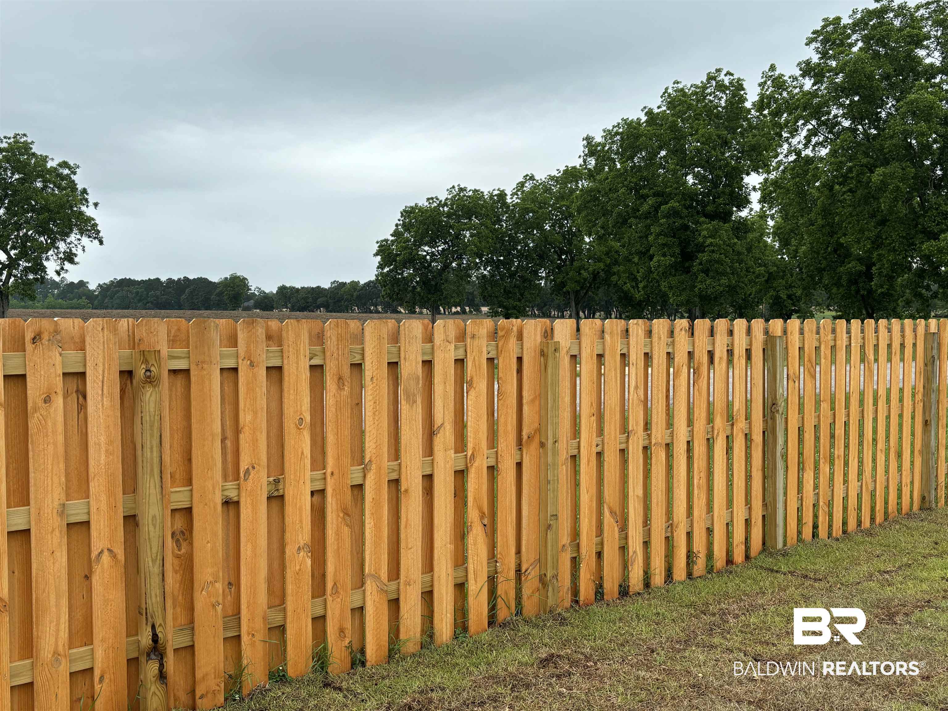 24532 Ponder Loop Loxley, AL 36551 - Photo 10 of 44 View Over Back Fence