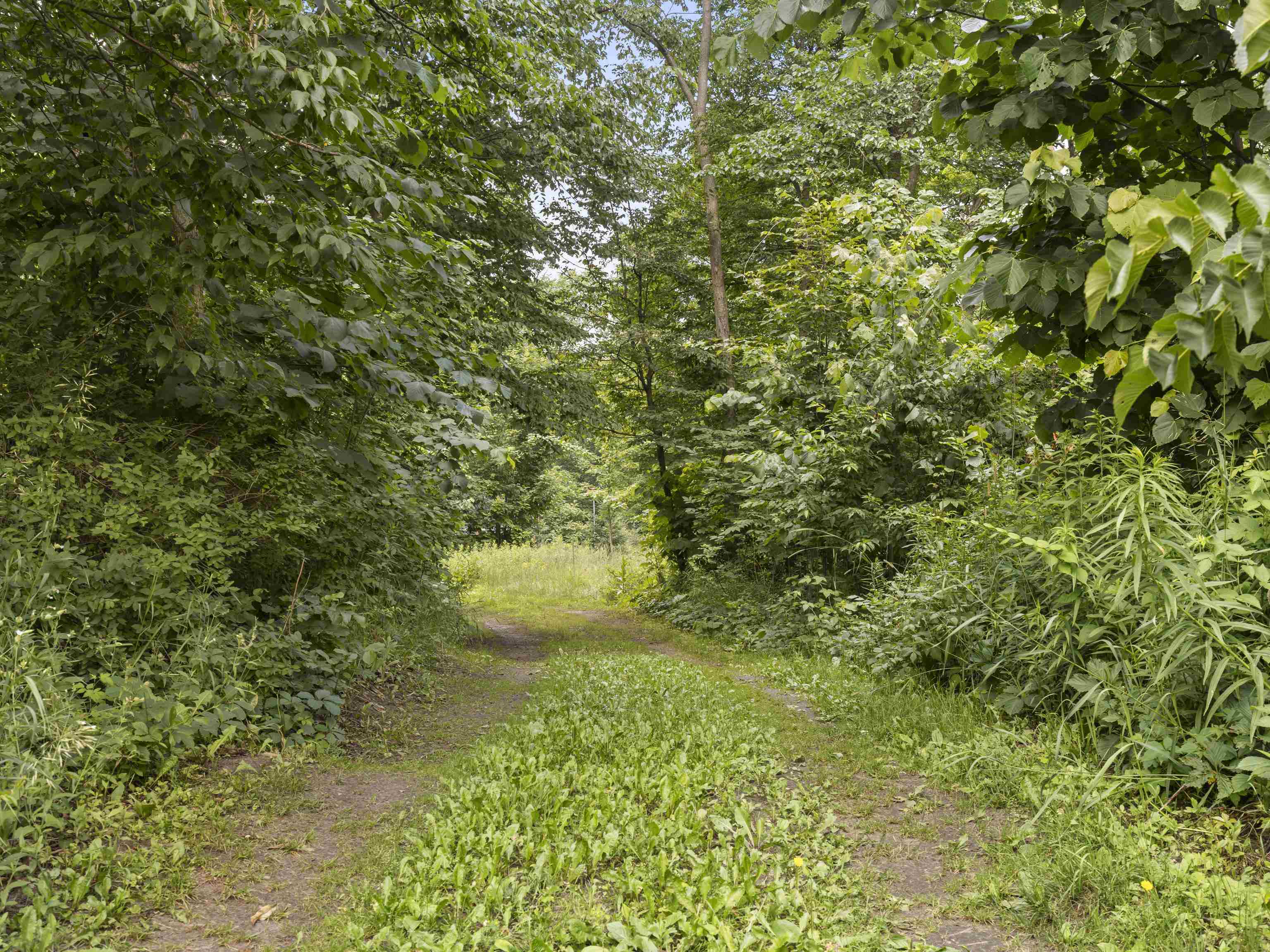 V/l Read Road Copemish, MI 49625 - Photo 13 of 28