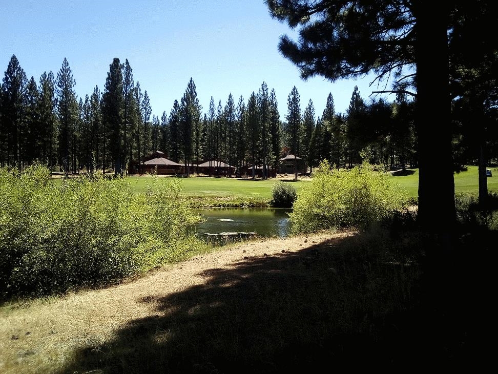 1403 Great Spirit Unit 260