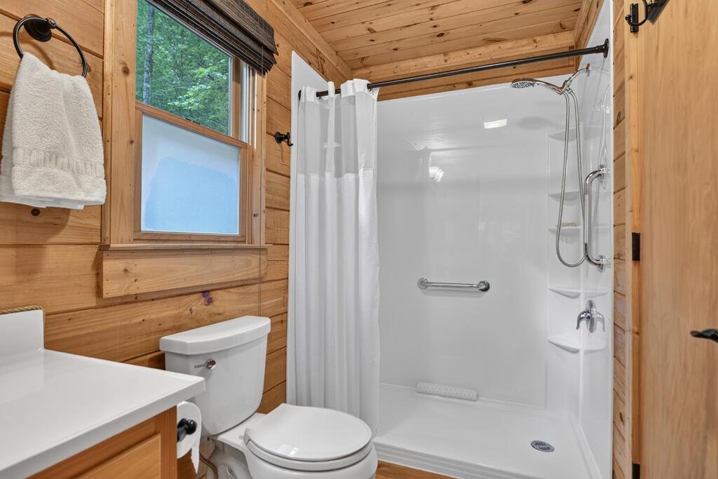 234 Holly Hollow Road Blue Ridge, GA 30513 - Photo 23 of 34 Gallery Image 23