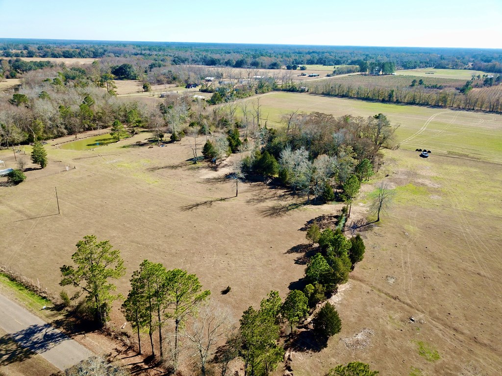 12.7-acres Nobles Road Dothan, AL 36301 - Photo 10 of 41