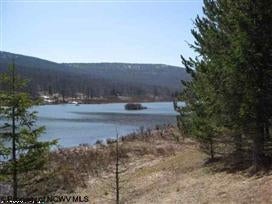 1085 Deer Ridge Road Davis, WV 26260 - Photo 17 of 20 Gallery Image 17
