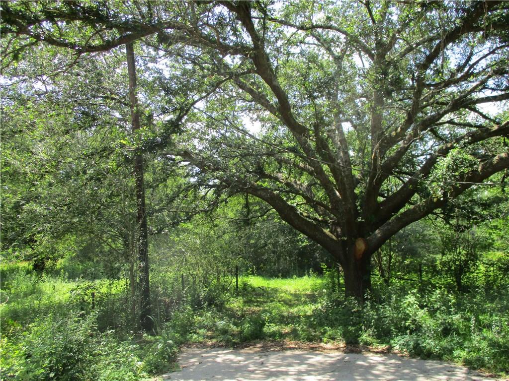 42101 Happywoods Road Hammond, LA 70403 - Photo 2 of 13 Gallery Image 2
