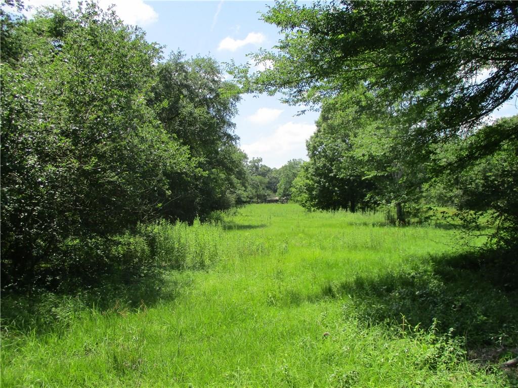 42101 Happywoods Road Hammond, LA 70403 - Photo 4 of 13 Gallery Image 4