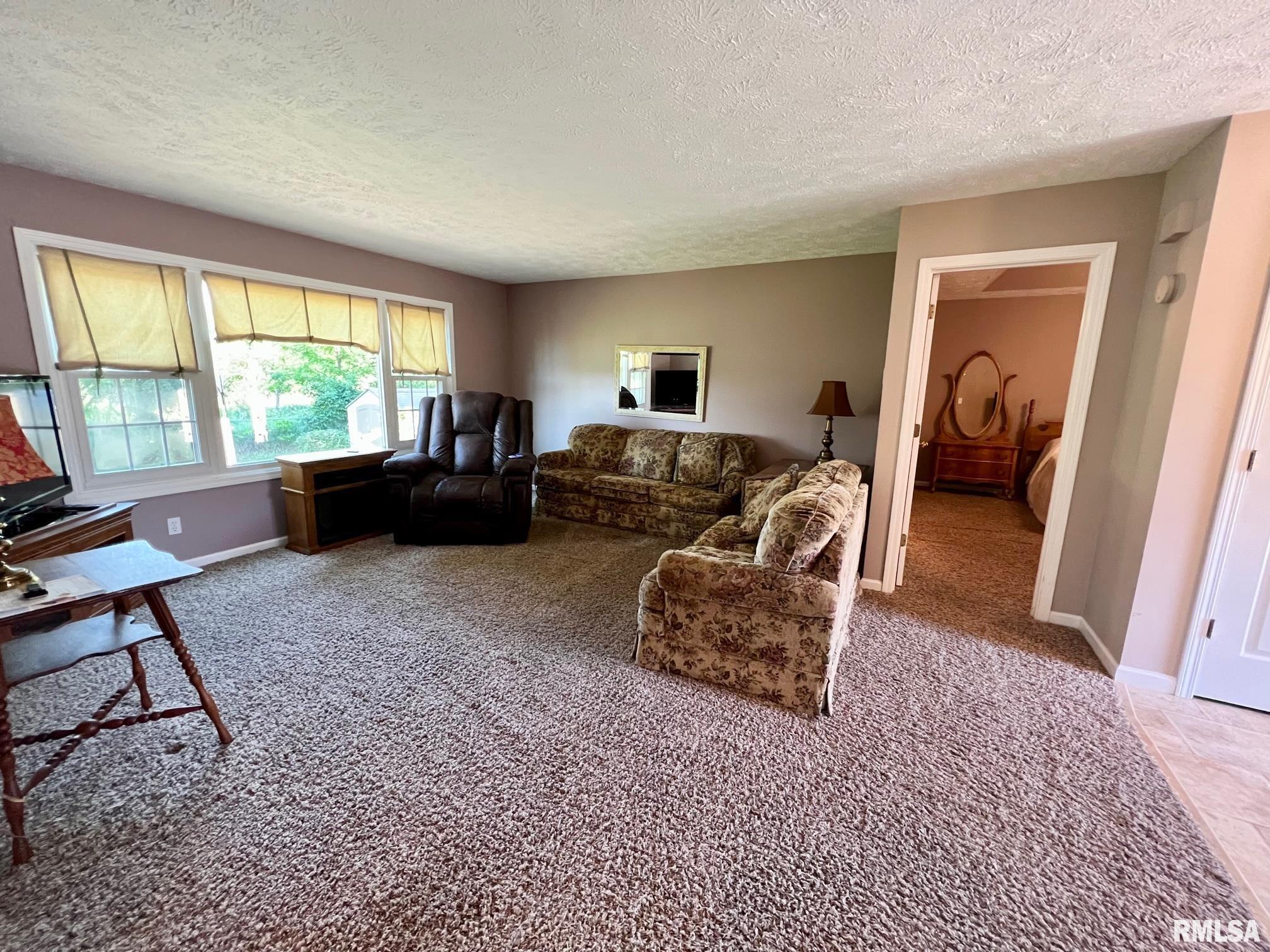 19442 Pinecrest Road Petersburg, IL 62675 - Photo 4 of 23 Gallery Image 4