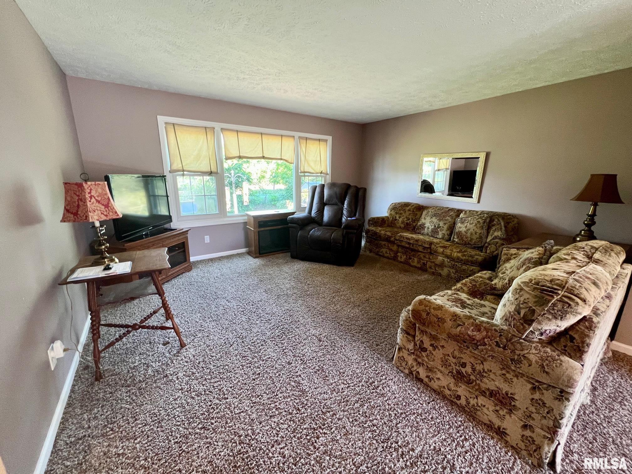 19442 Pinecrest Road Petersburg, IL 62675 - Photo 6 of 23 Gallery Image 6