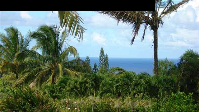 367 Hoolawa Road Haiku, HI 96708 - Photo 1 of 30 a view of a backyard