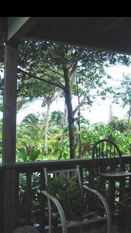 367 Hoolawa Road Haiku, HI 96708 - Photo 19 of 30 a view of a street from a balcony