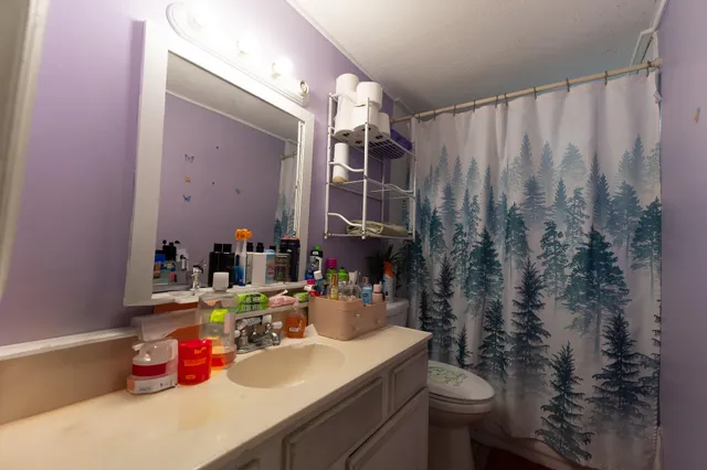 a bathroom with a sink vanity mirror and toilet