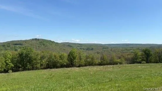 a view of an outdoor space and a yard