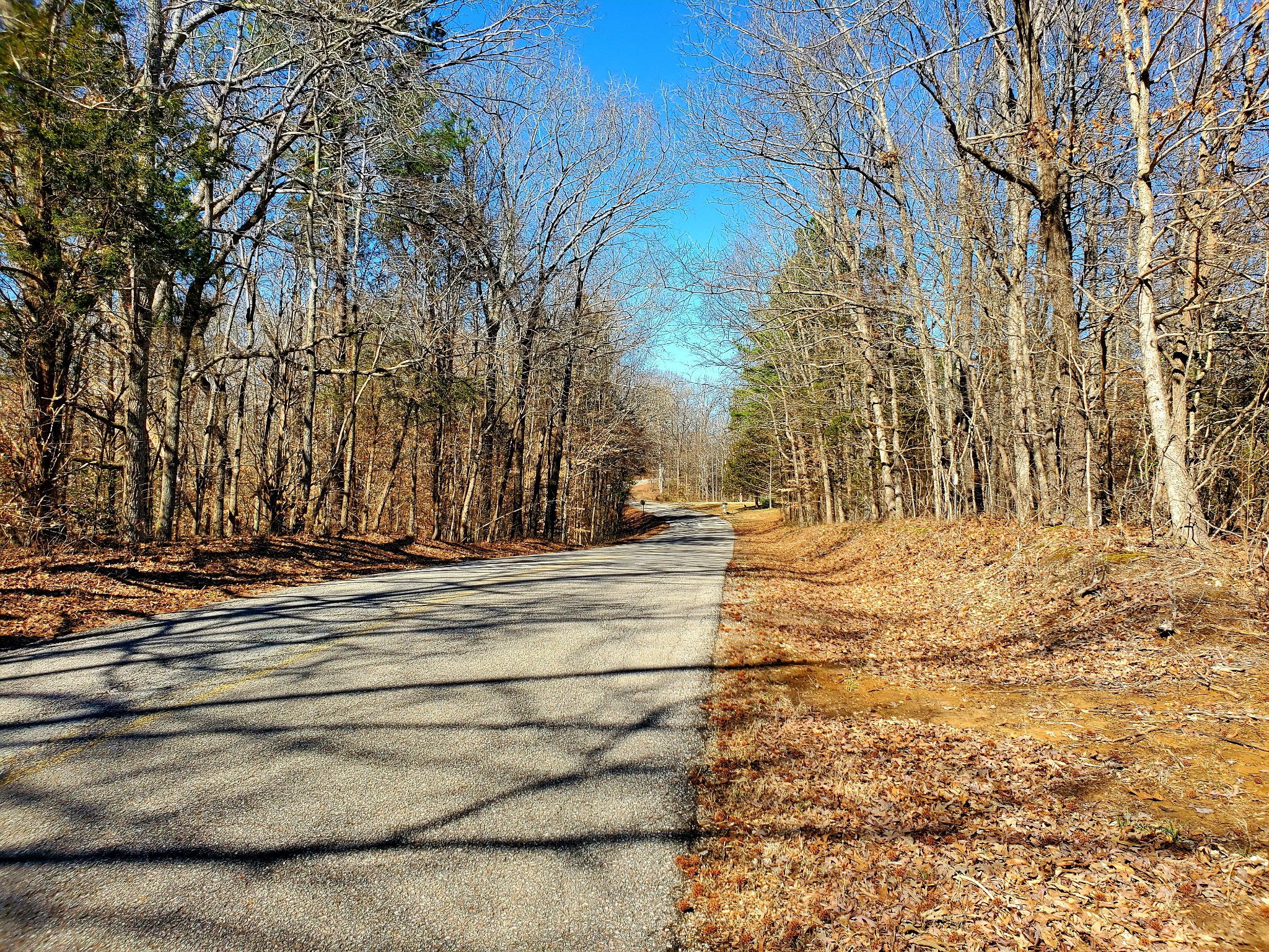 810 Prospect Road Camden, TN 38320 - Photo 27 of 64 Gallery Image 27