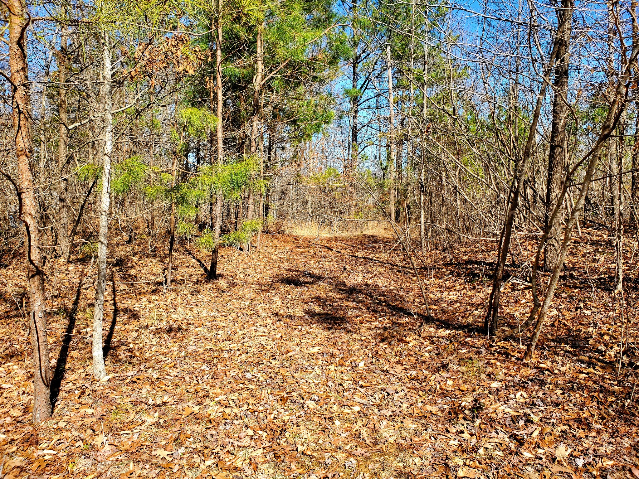 810 Prospect Road Camden, TN 38320 - Photo 34 of 64 Gallery Image 34