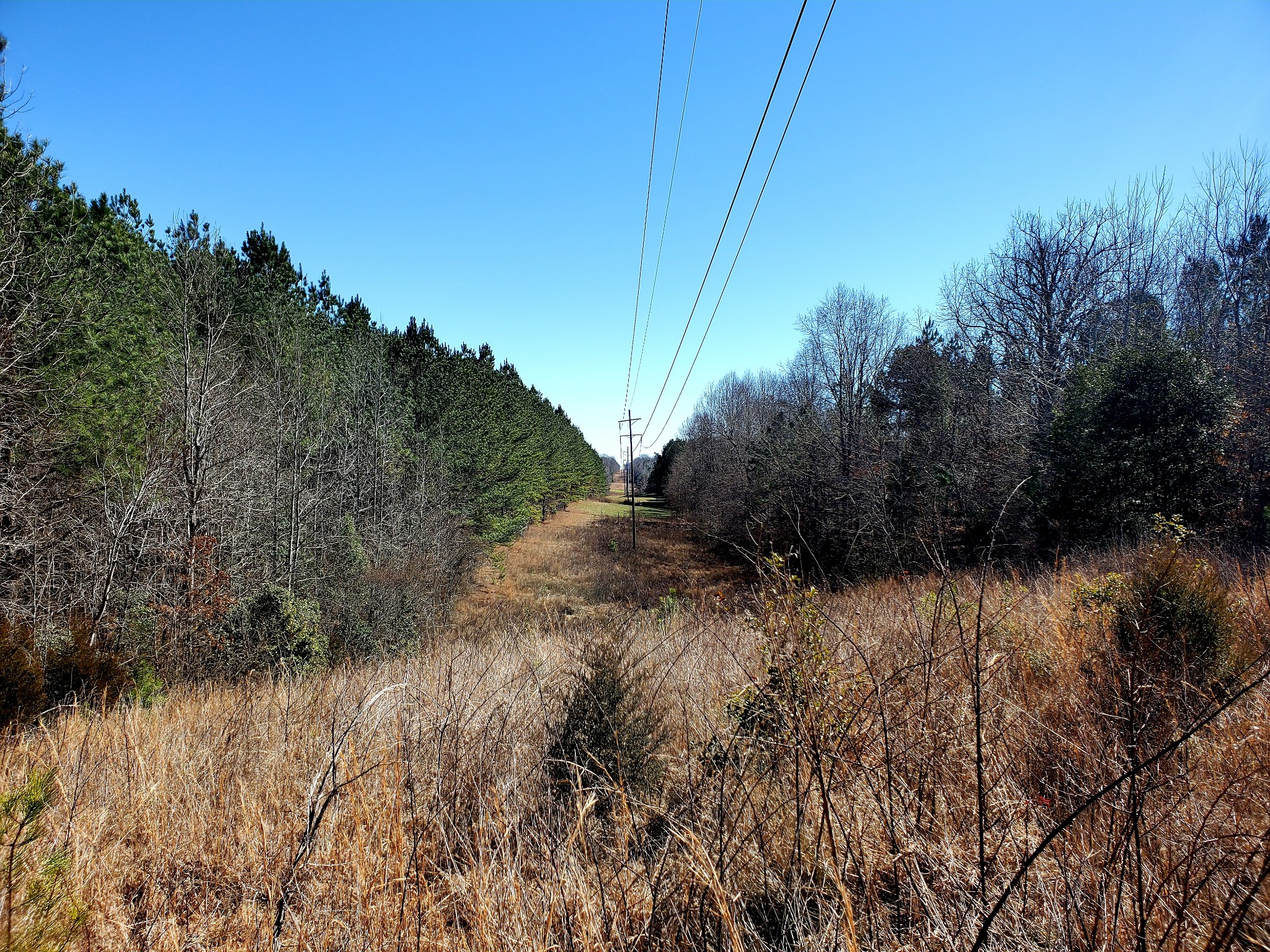 810 Prospect Road Camden, TN 38320 - Photo 44 of 64 Gallery Image 44