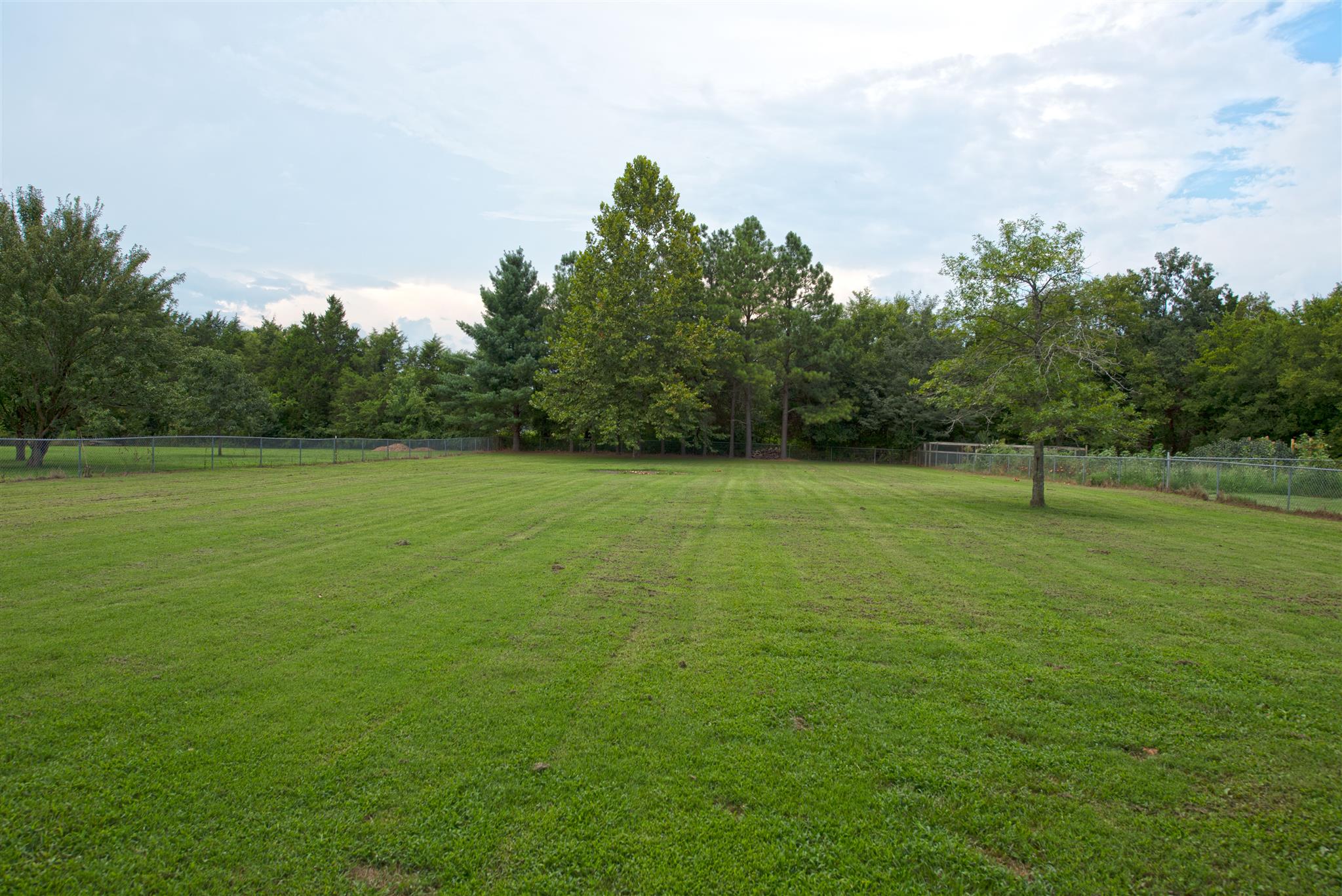 7500 Joe Rowlin Road Christiana, TN 37037 - Photo 4 of 22 a view of a green field with trees in the background