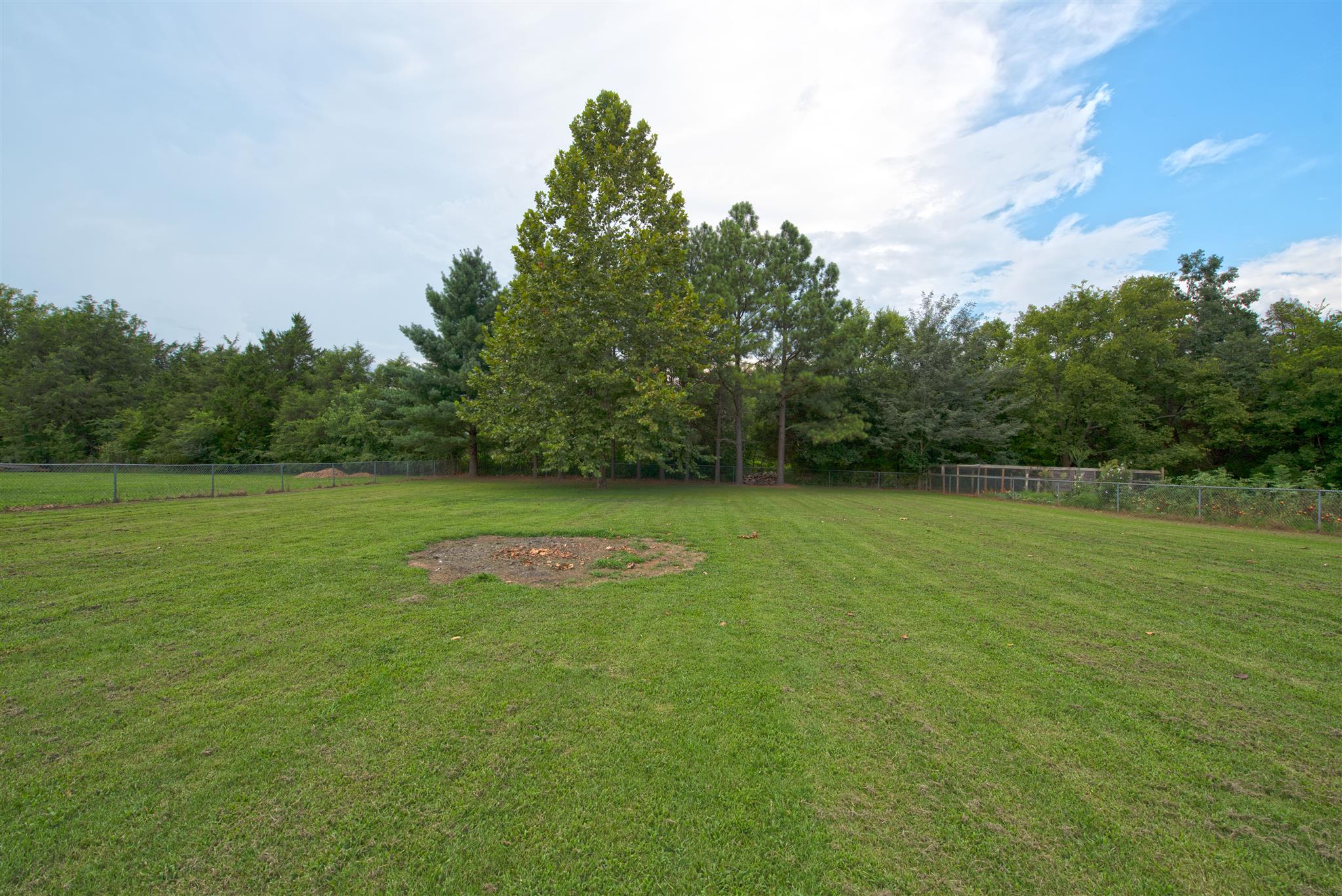 7500 Joe Rowlin Road Christiana, TN 37037 - Photo 5 of 22 a view of a green field with wooden fence
