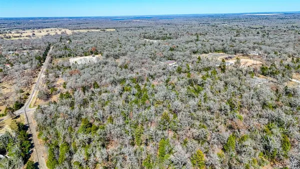 a close up of a plant
