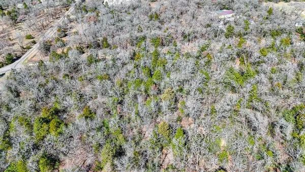 a view of a forest with trees