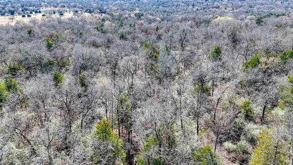 $35,000 | Tbd Lot 8 Fcr 540, Fairfield, TX 75840