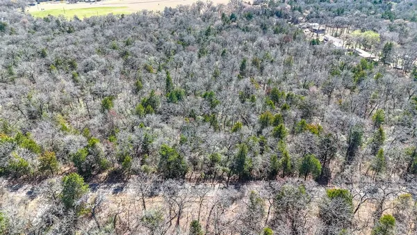 a view of a dry yard with trees and bushes