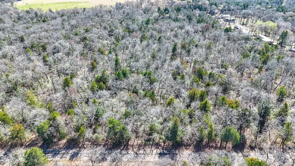 a view of a field with a tree
