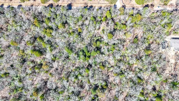 a view of a dry yard with wooden floor and fence