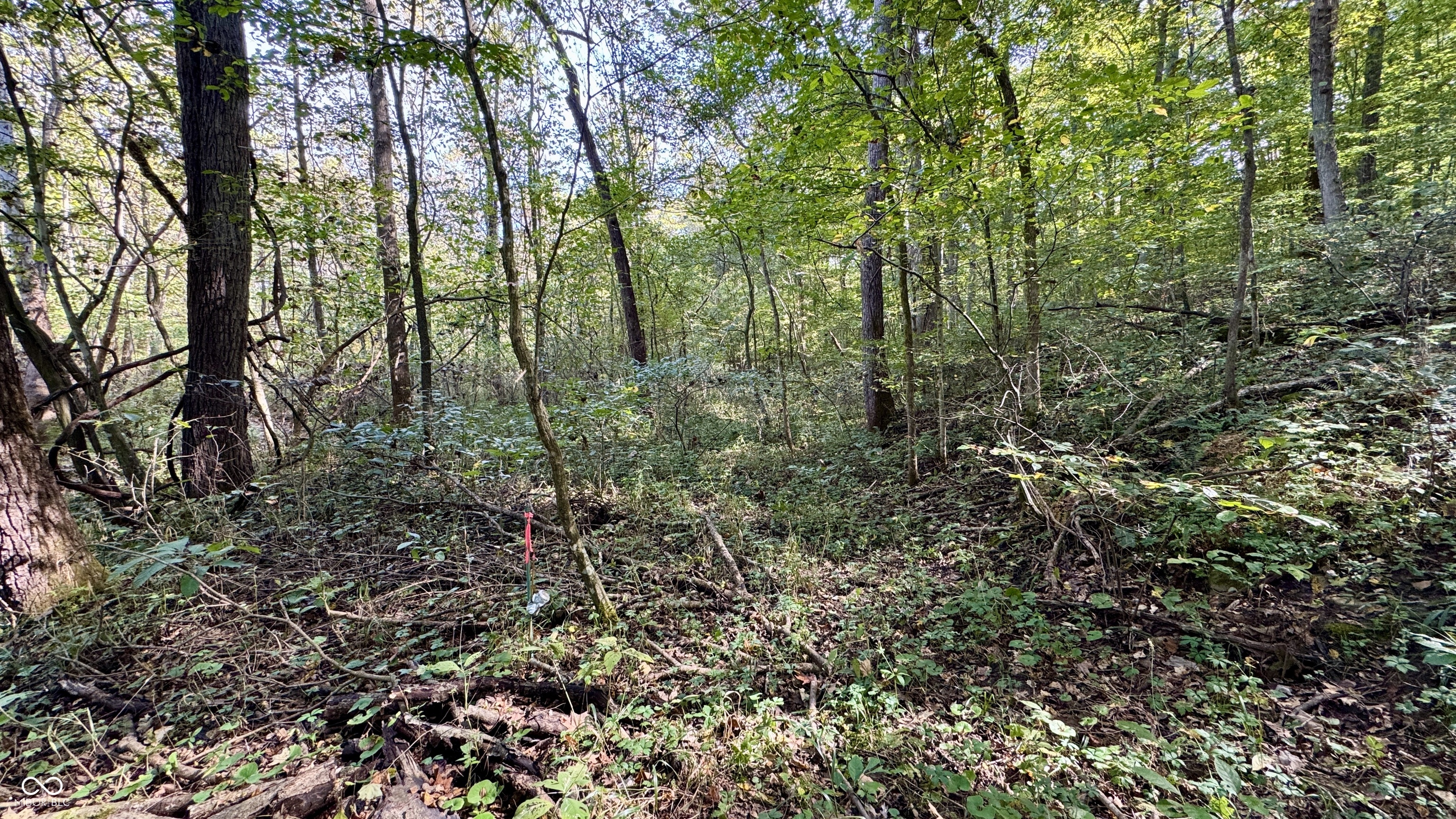 4328 Peggy Holw Road Shoals, IN 47581 - Photo 11 of 29