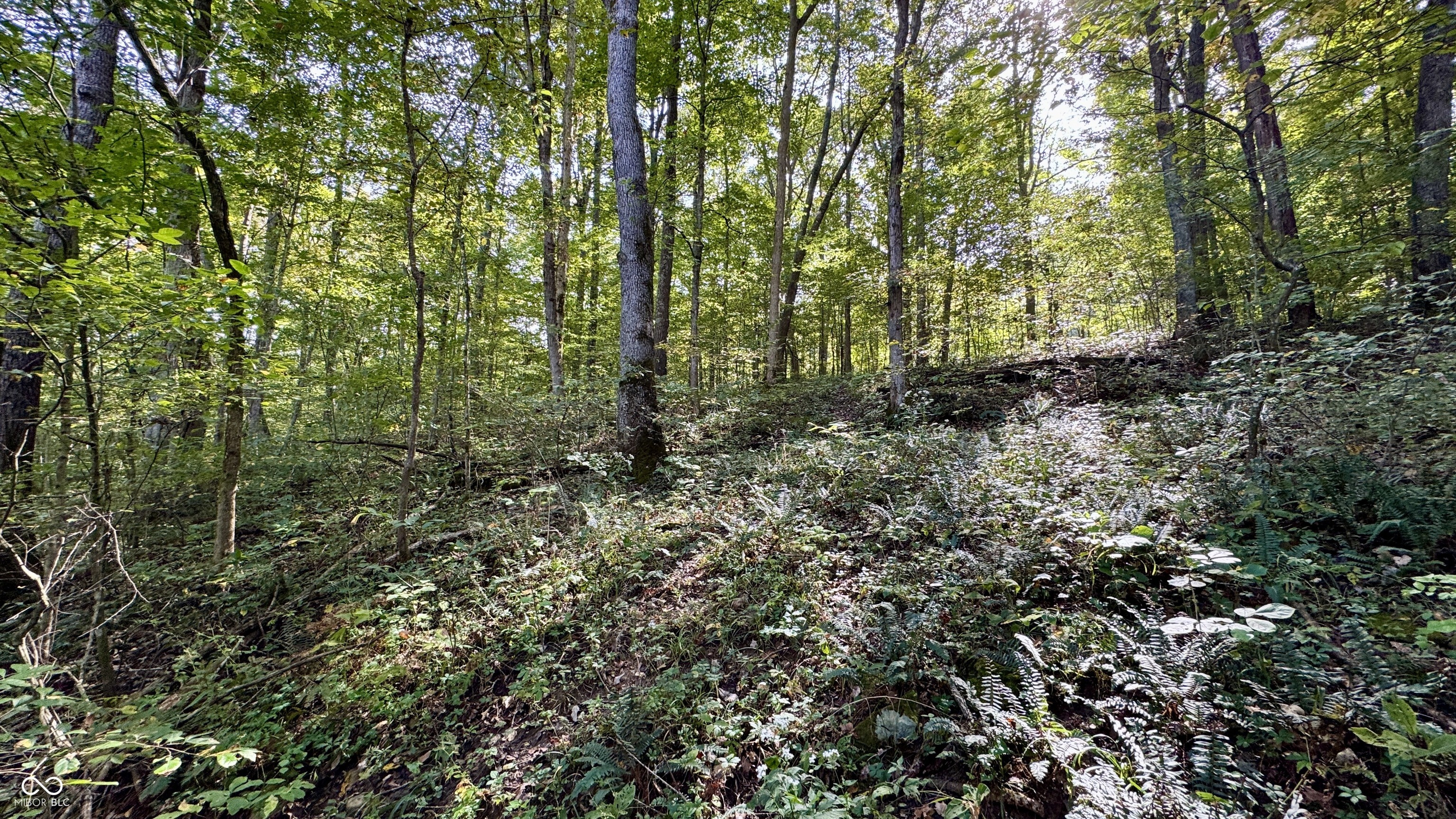 4328 Peggy Holw Road Shoals, IN 47581 - Photo 12 of 29