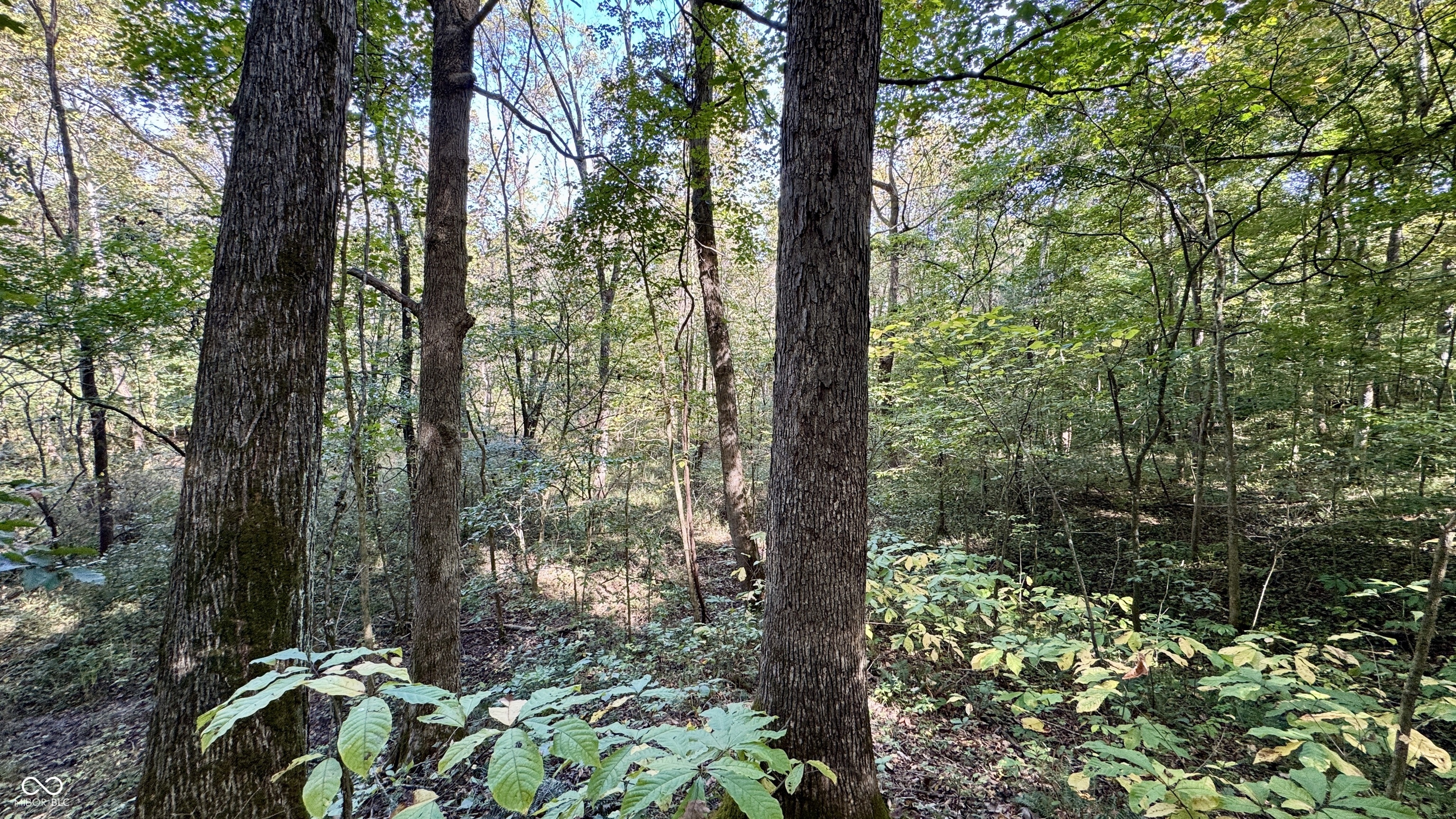 4328 Peggy Holw Road Shoals, IN 47581 - Photo 13 of 29