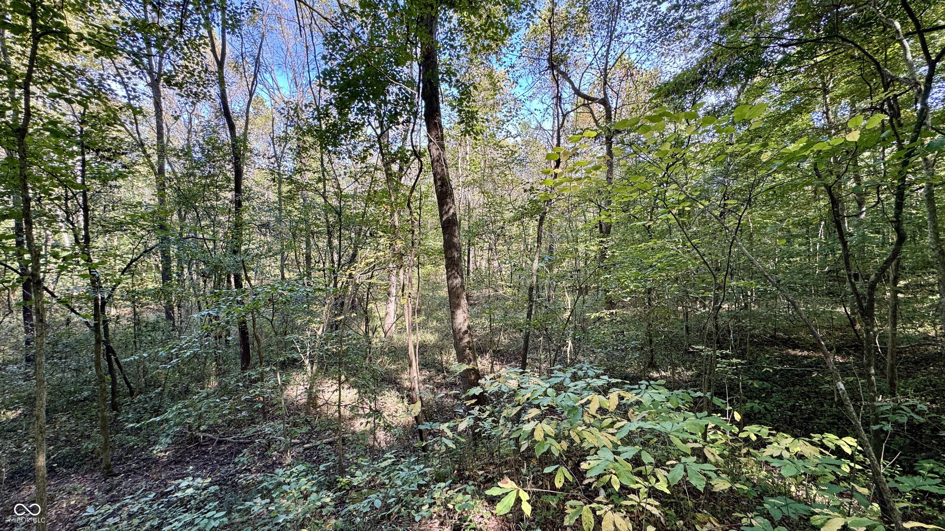 4328 Peggy Holw Road Shoals, IN 47581 - Photo 14 of 29