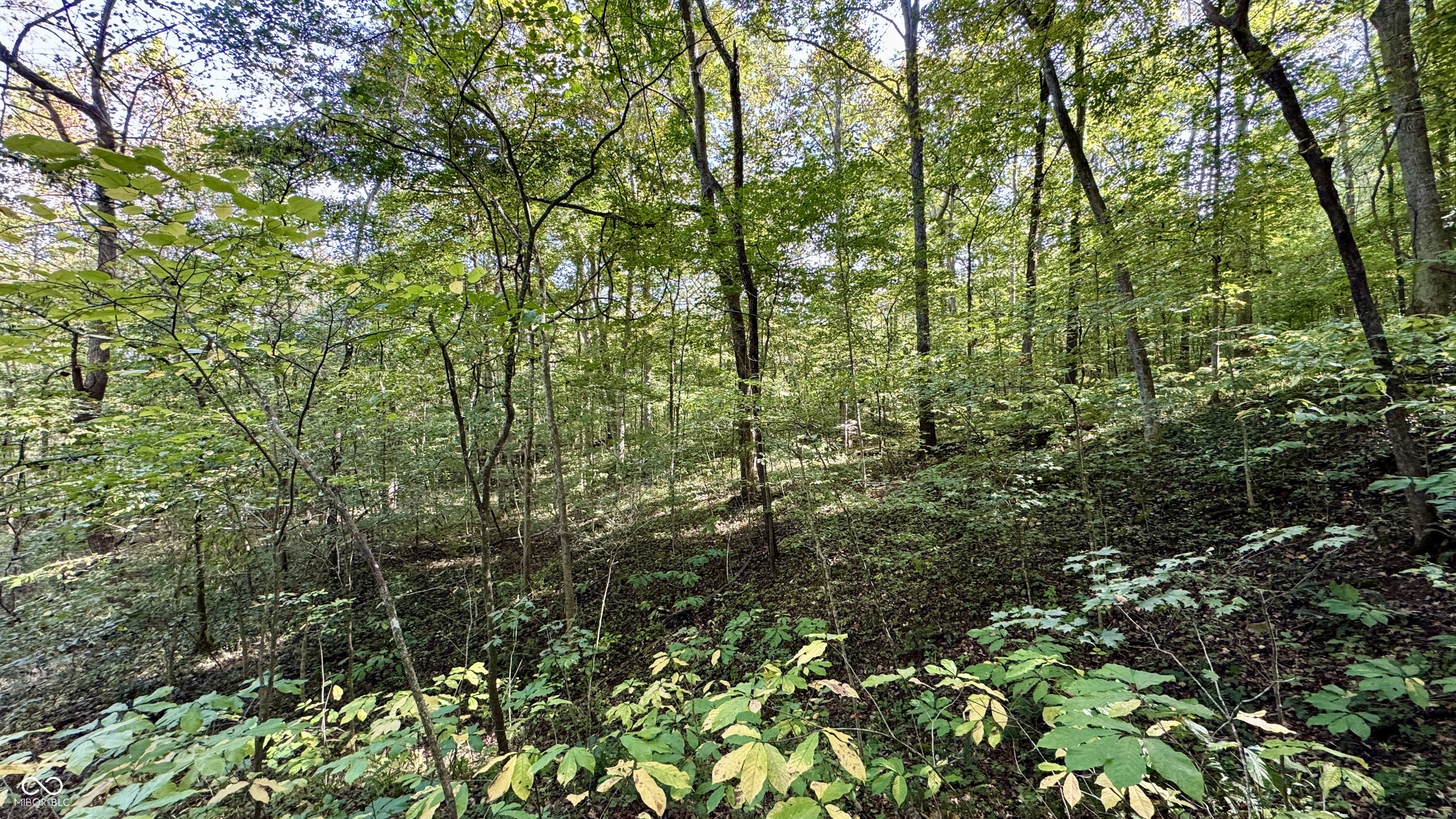 4328 Peggy Holw Road Shoals, IN 47581 - Photo 15 of 29