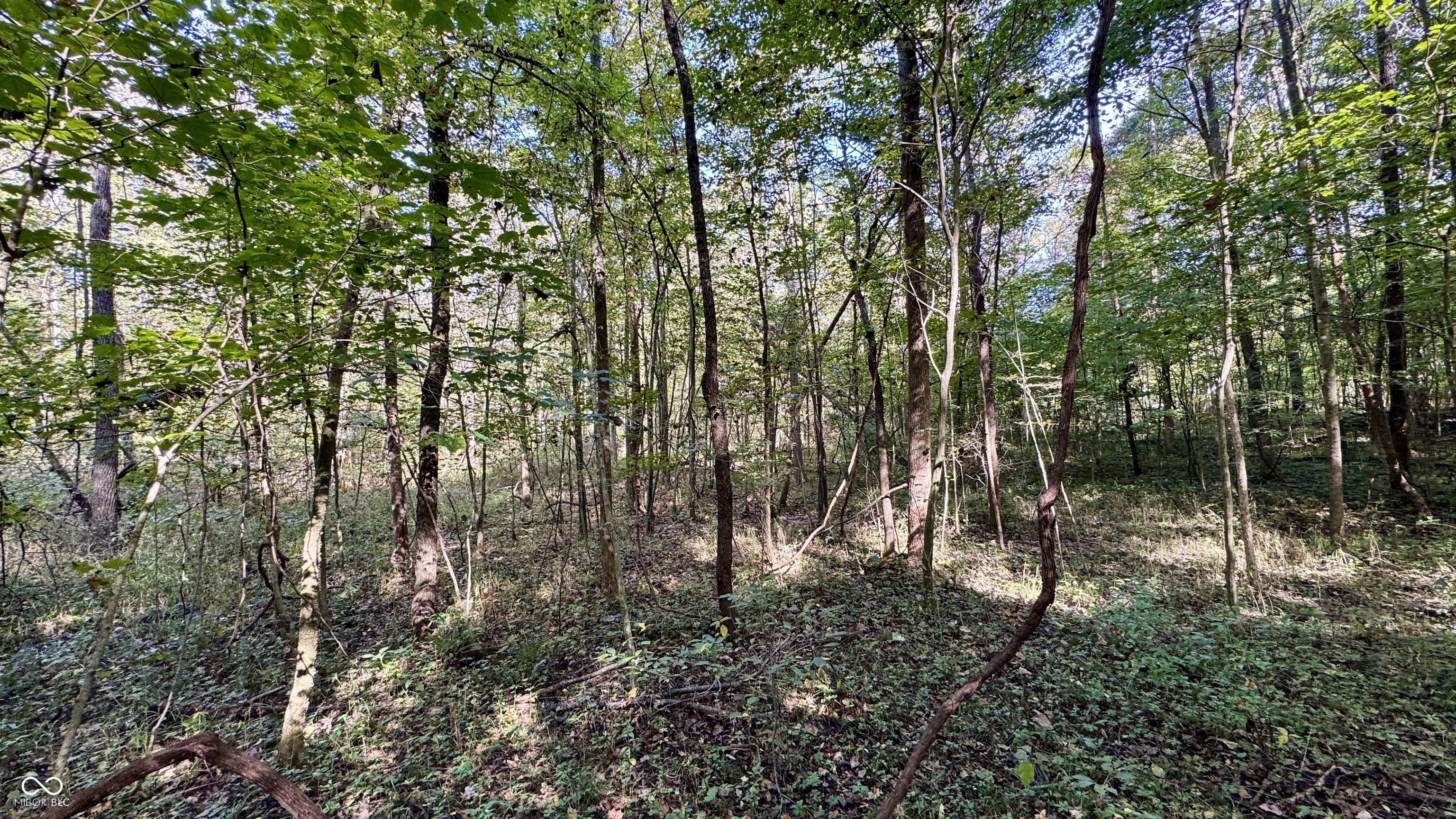 4328 Peggy Holw Road Shoals, IN 47581 - Photo 17 of 29