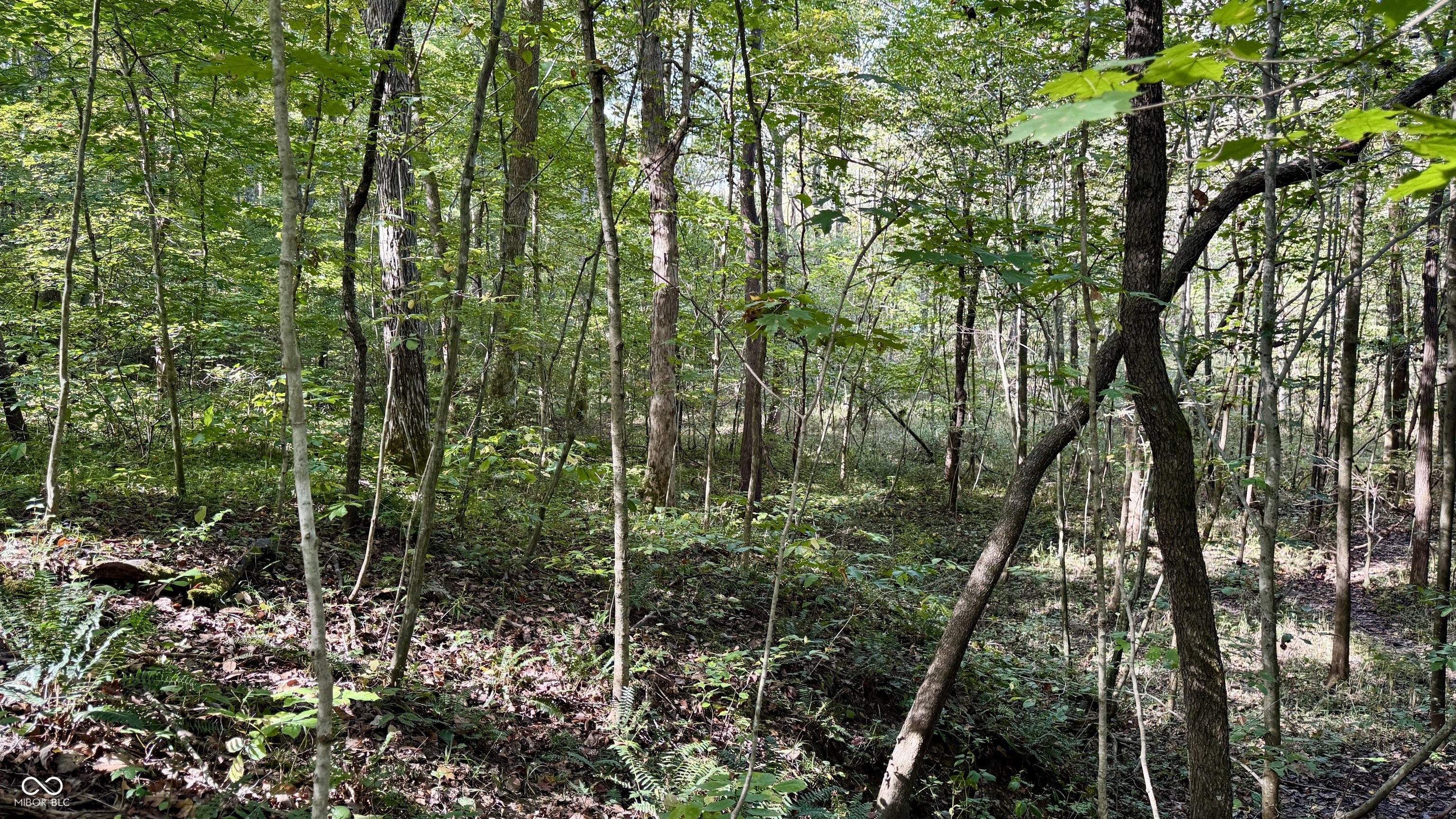 4328 Peggy Holw Road Shoals, IN 47581 - Photo 18 of 29