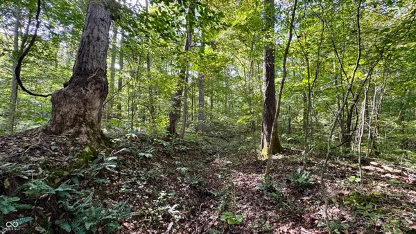 $49,900 | 4328 Peggy Holw Road, Shoals, IN 47581