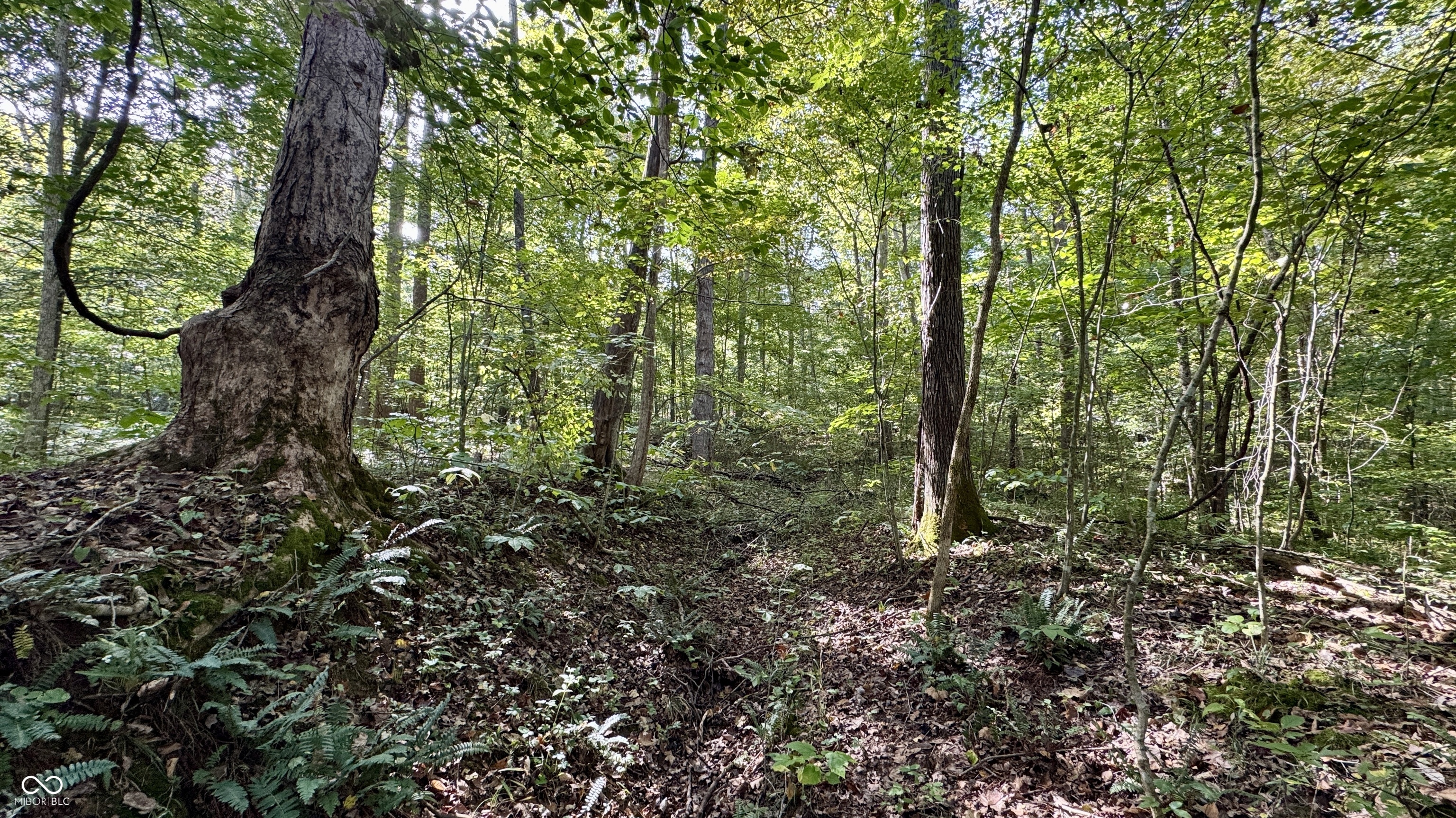 4328 Peggy Holw Road Shoals, IN 47581 - Photo 19 of 29