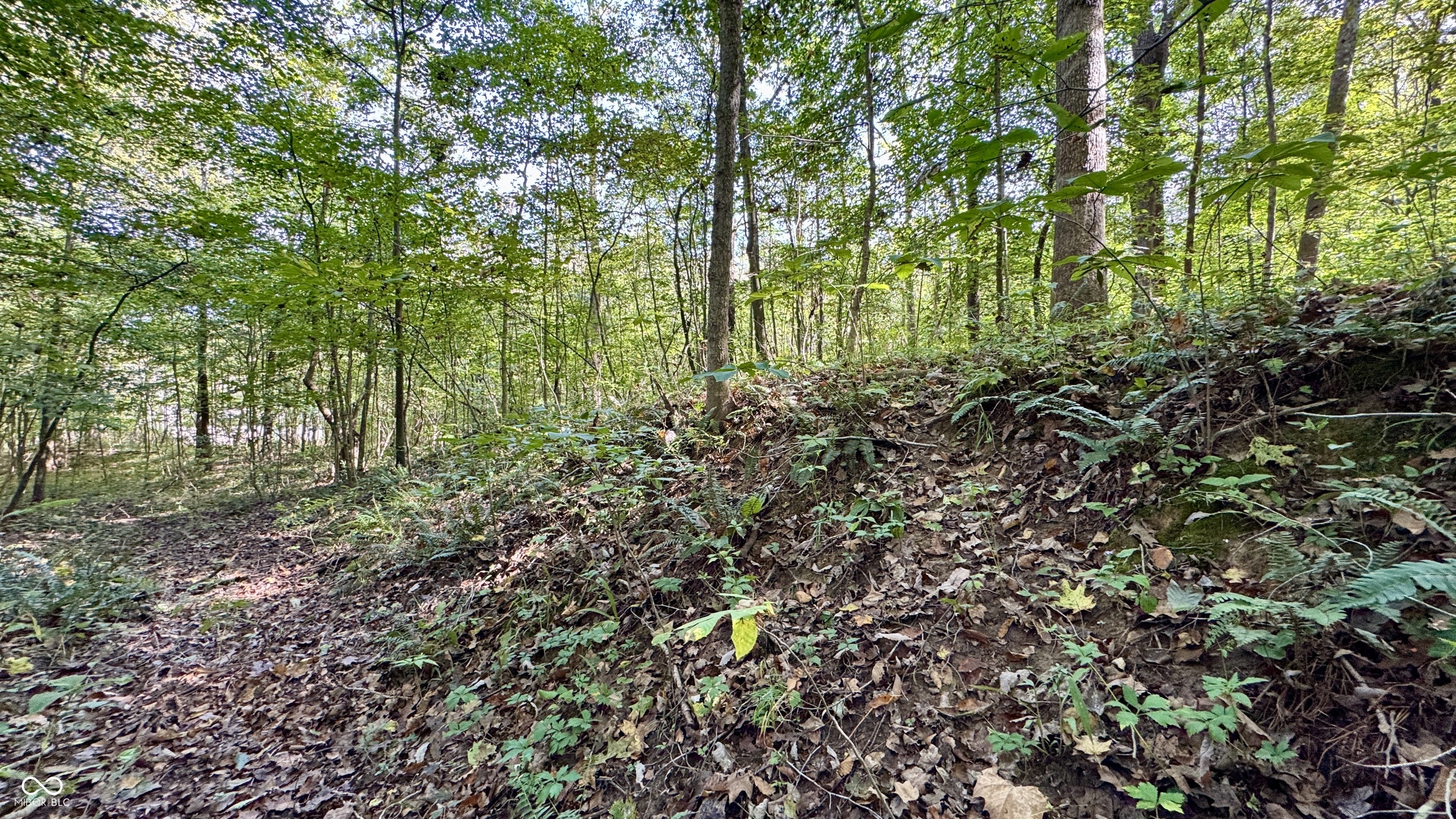 4328 Peggy Holw Road Shoals, IN 47581 - Photo 21 of 29