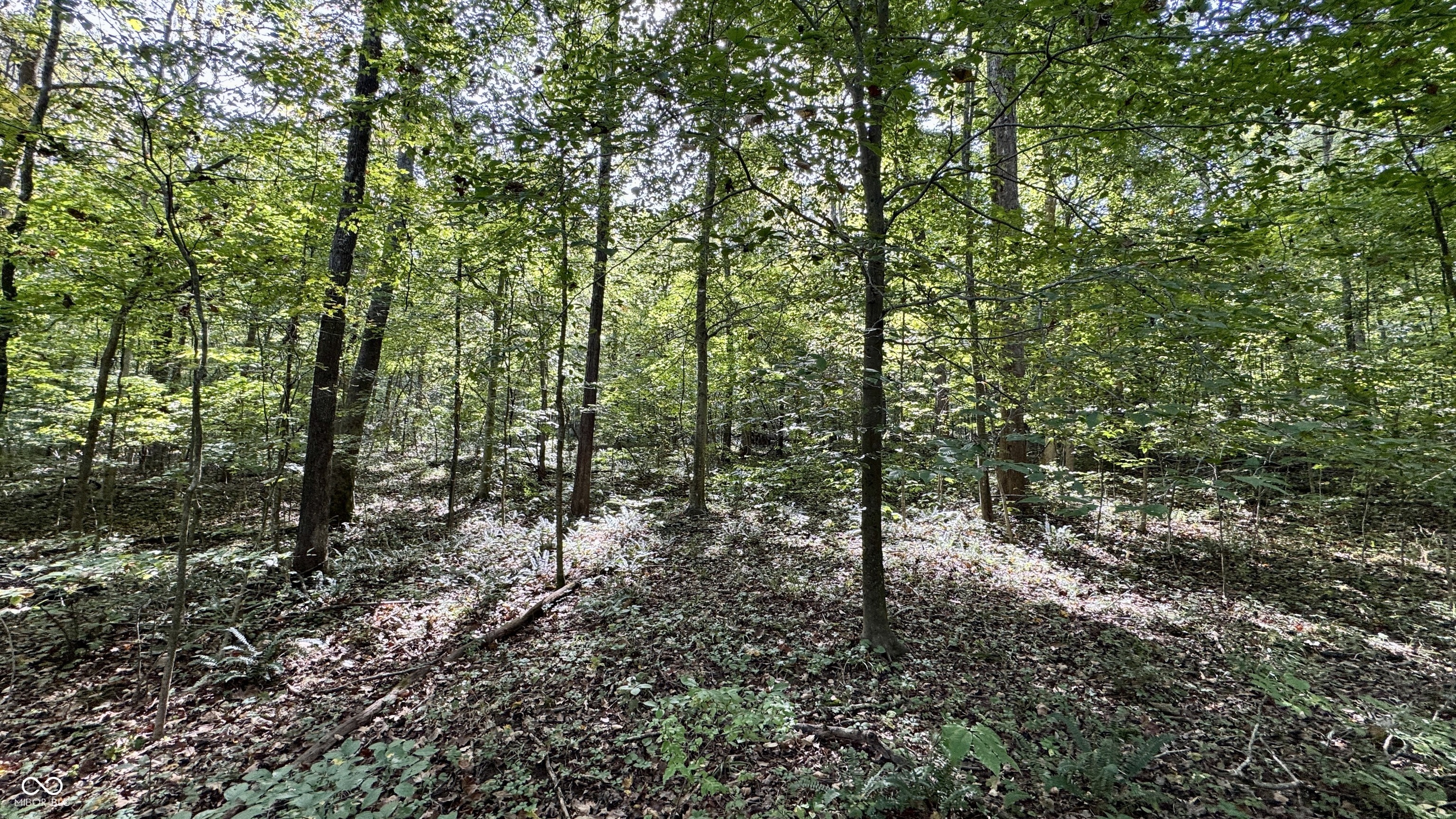 4328 Peggy Holw Road Shoals, IN 47581 - Photo 22 of 29