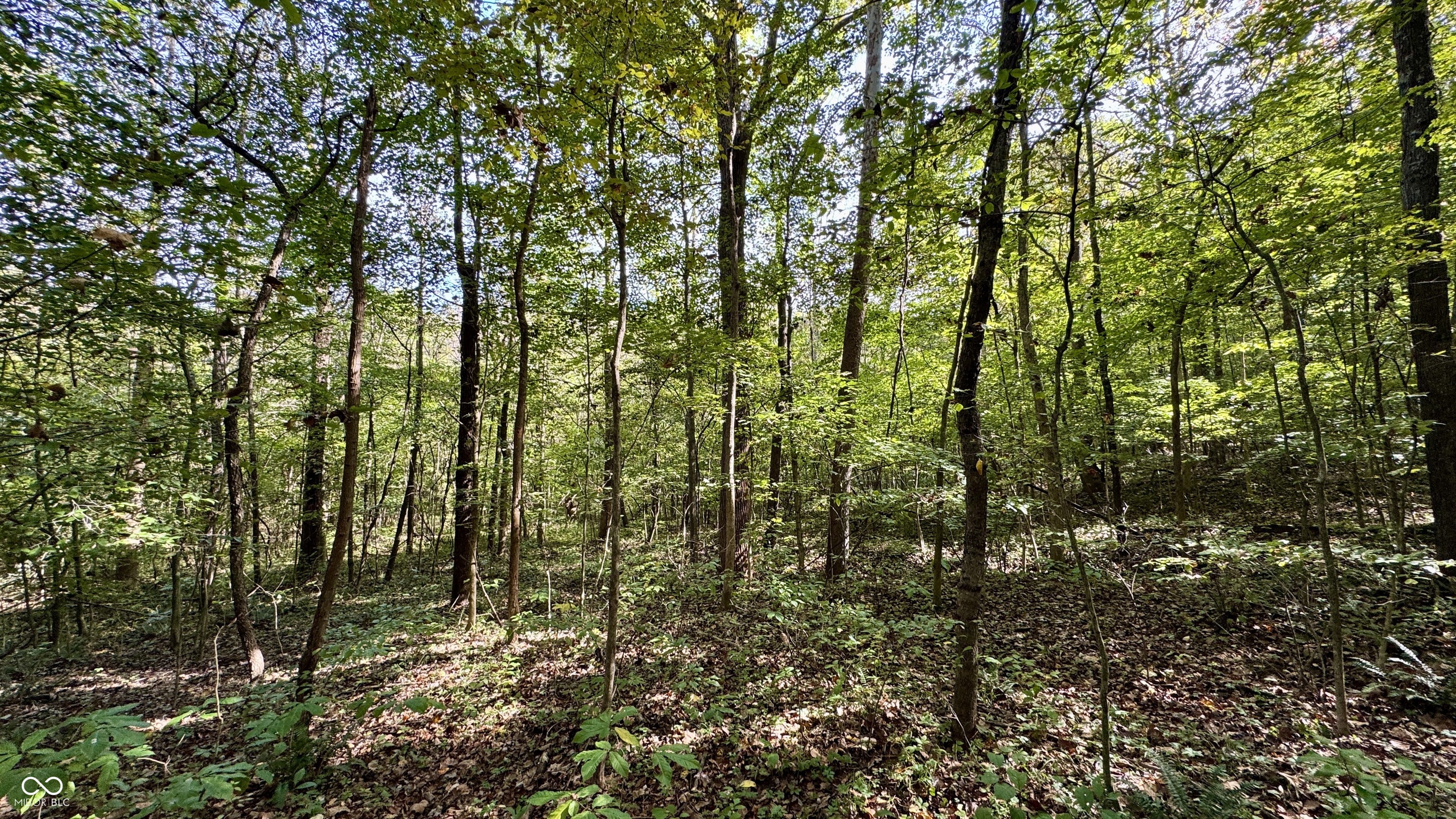 4328 Peggy Holw Road Shoals, IN 47581 - Photo 23 of 29