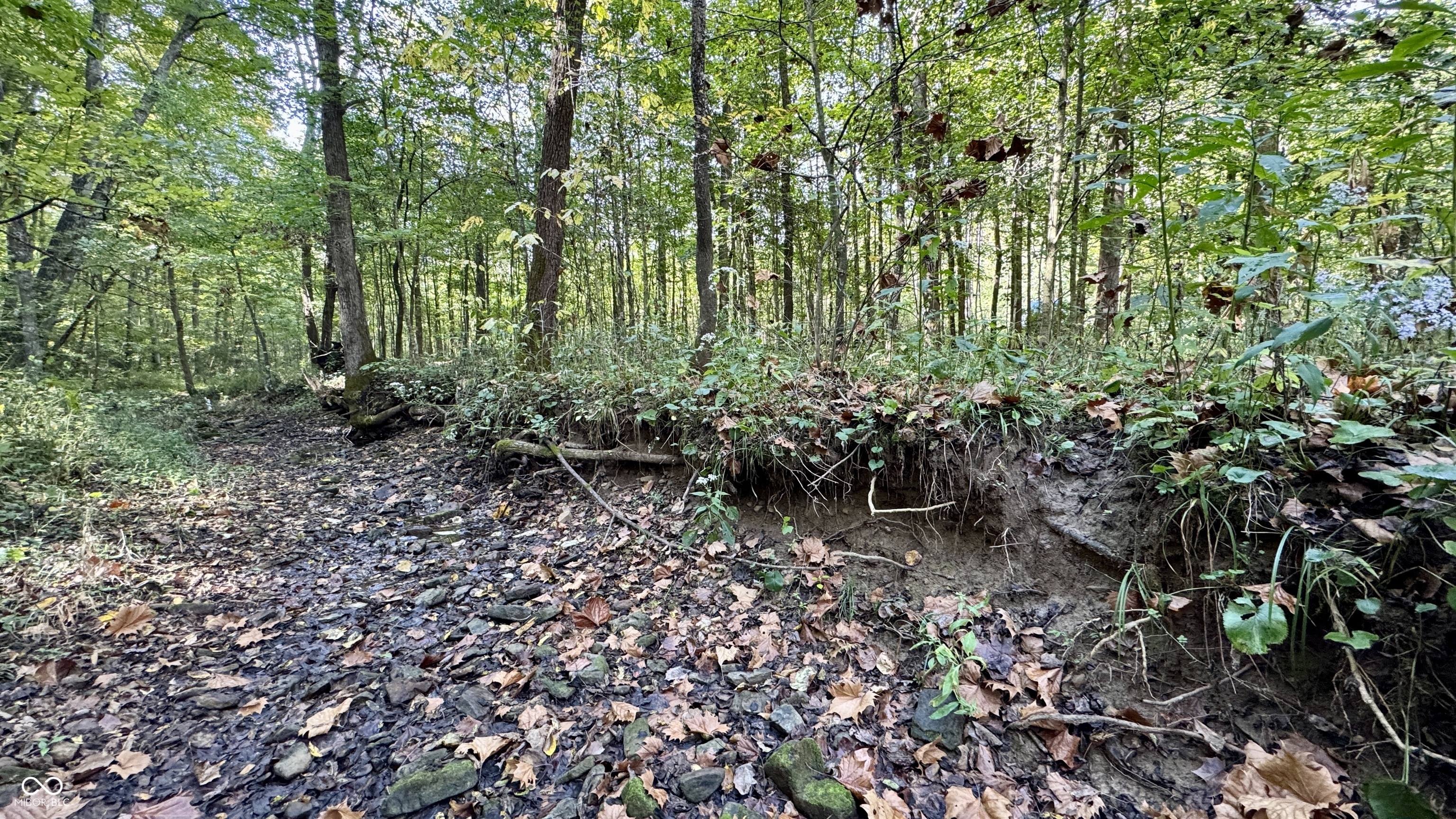 4328 Peggy Holw Road Shoals, IN 47581 - Photo 24 of 29