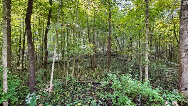 $49,900 | 4328 Peggy Holw Road, Shoals, IN 47581