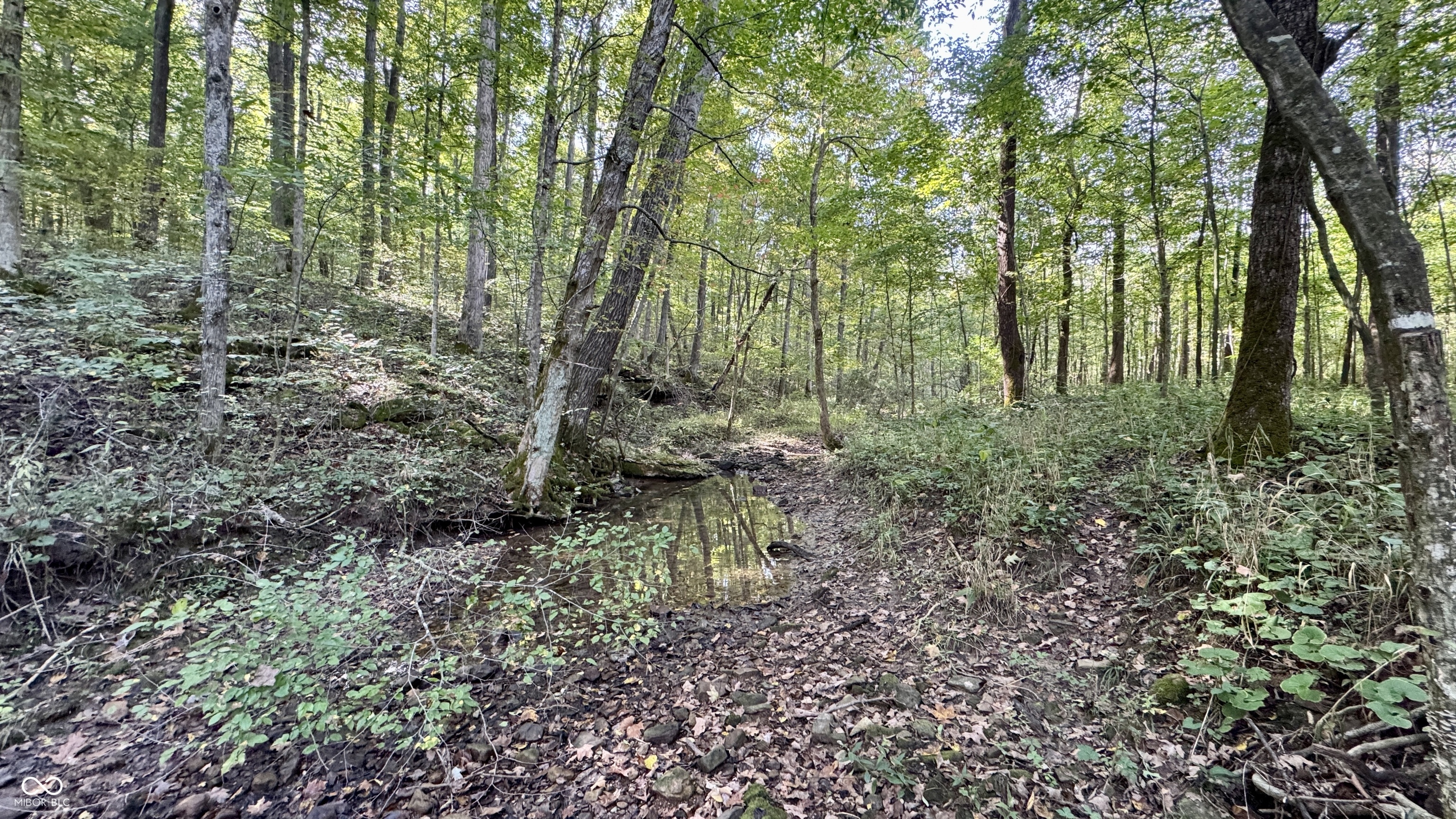 4328 Peggy Holw Road Shoals, IN 47581 - Photo 9 of 29