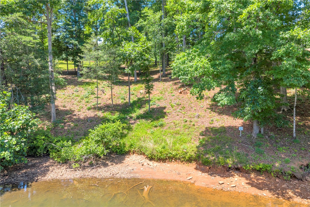 Lot 60 Harbor Point Seneca, SC 29672 - Photo 20 of 30 Mature trees frame this verdant lakeside property, offering a serene natural escape.