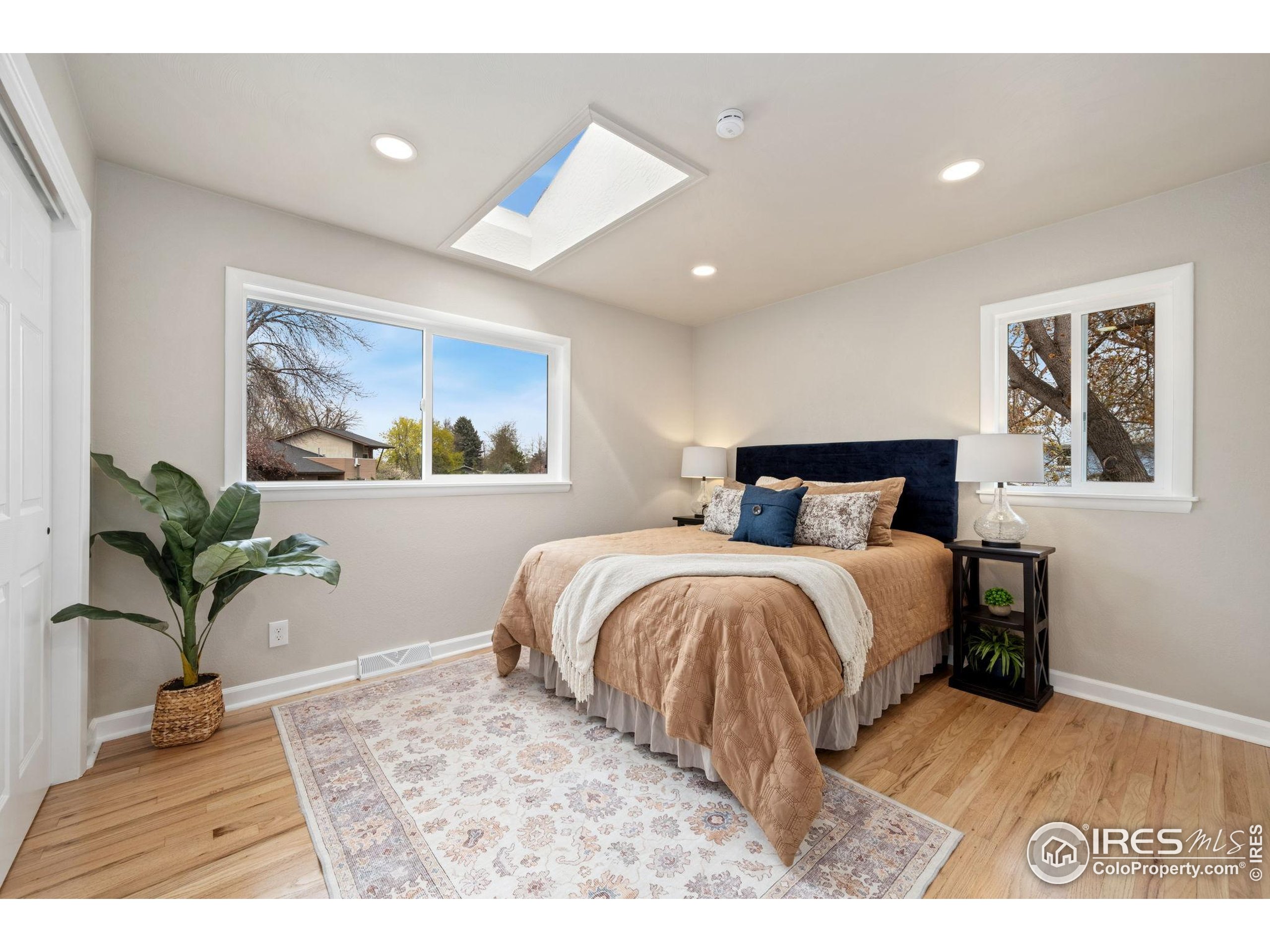 613 Dartmouth Trail Fort Collins, CO 80525 - Photo 8 of 15