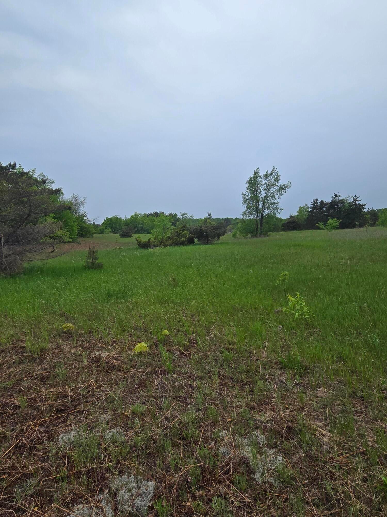 0 Durkalic Road Pellston, MI 49769 - Photo 5 of 15 20250530_111714